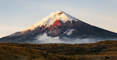 Como Planiya de luz en Cotopaxi Consultar, imprimir, descargar y pagar