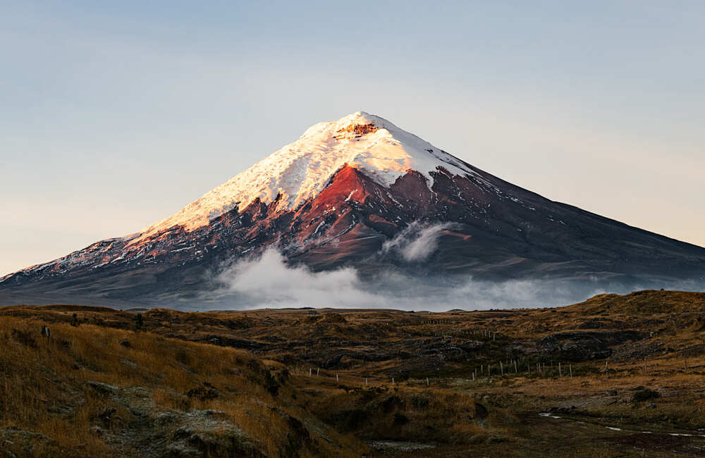 Planilla De Luz En Cotopaxi Consultar Imprimir Descargar Y Pagar Planilla De Luz